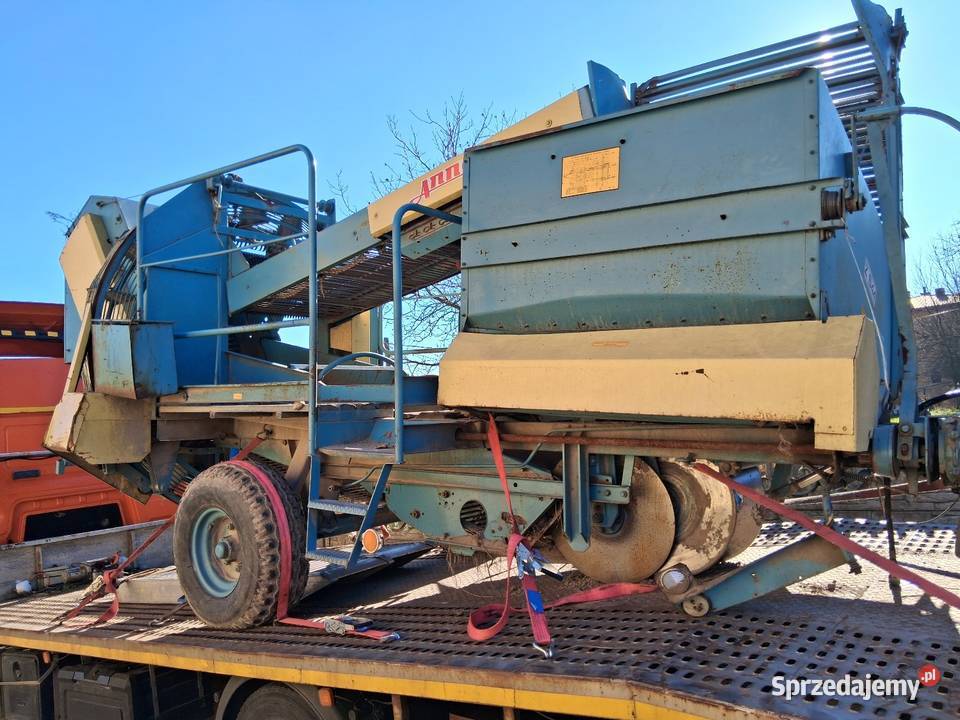 Kombajn ziemniaczany anna małopolskie Kwaśniów Górny