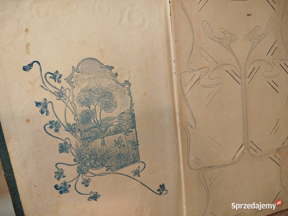 Stary album secesyjny na zdjęcia pocztówki 38 Antyki Antyki