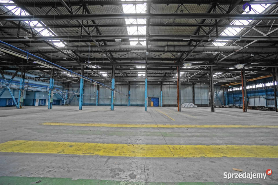 Ogłoszenie lokal 3050m2 Mikołów Wynajem śląskie