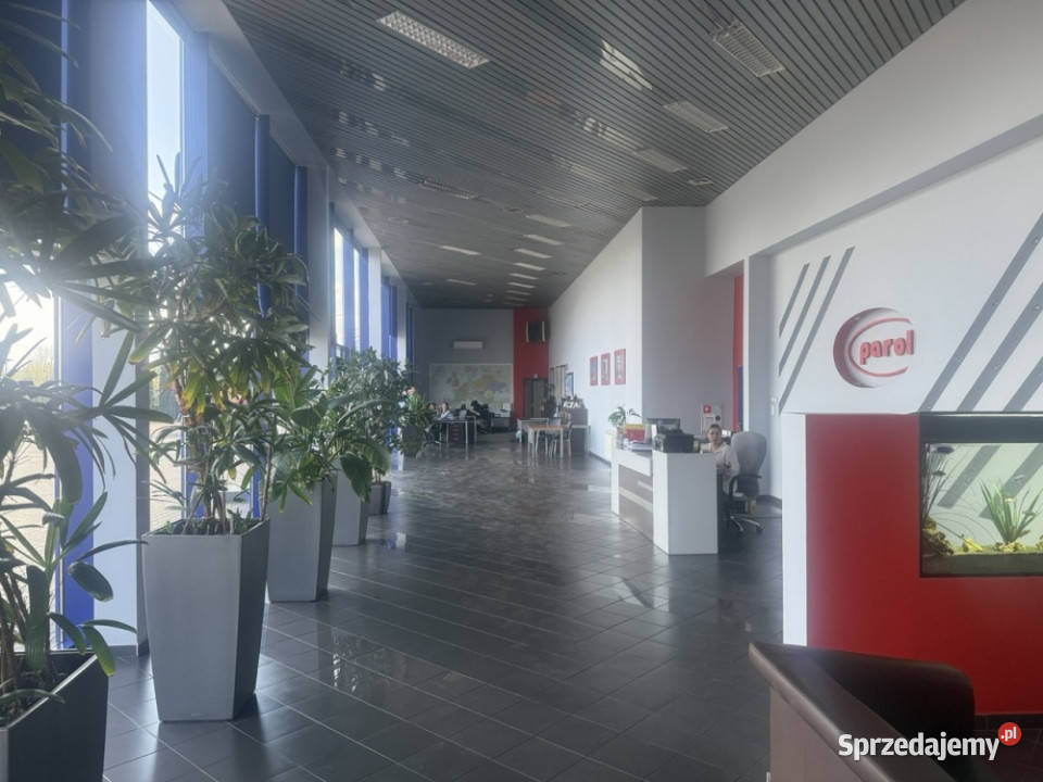 SPRZEDAŻ NIERUCHOMOŚCI Toruń