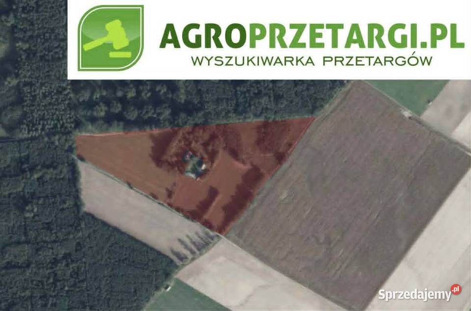 Dzierżawa 570 ha gruntu rolnego Nowy Tomyśl