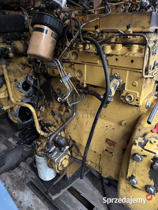 Cat Caterpillar Silnik 3054 560 2015 koni 1994 Jastrzębniki
