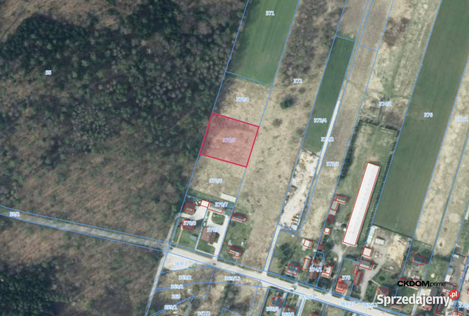 Duża działa Kielce Posłowicka świętokrzyskie