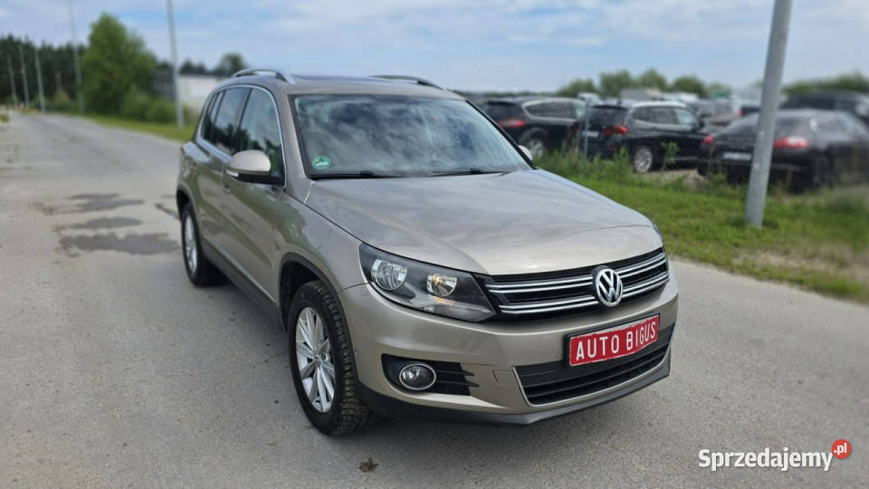 Volkswagen Tiguan DSG duza navi highline czujnik martwego pola Lębork sprzedam