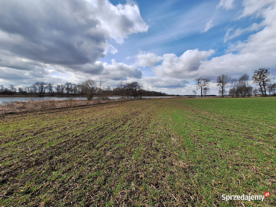 Choceń działka 5938 m z linią brzegową i WZ sprzedam