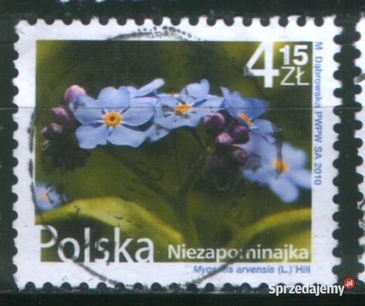 Zn Fi 4339 kas 2010 Gliwice sprzedam