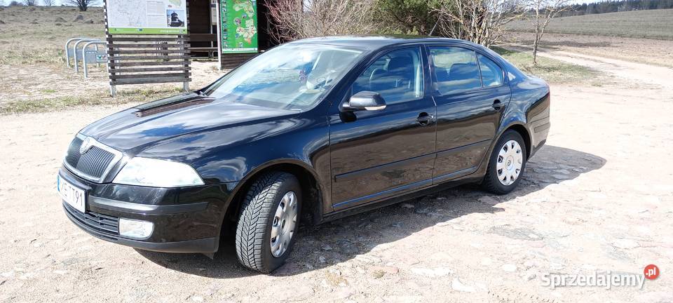 Skoda Octavia 2 16 LPG Kruszki