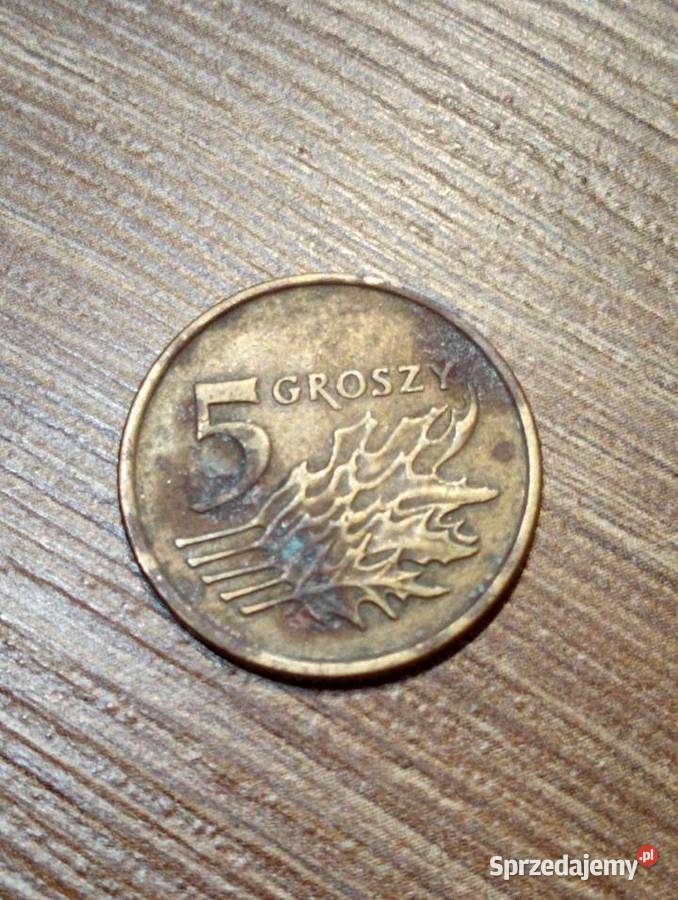 Sprzedam 5 gr 1990 r Chełm