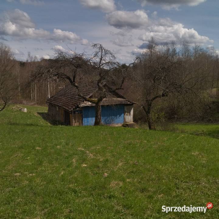 dom drewniany Binarowa