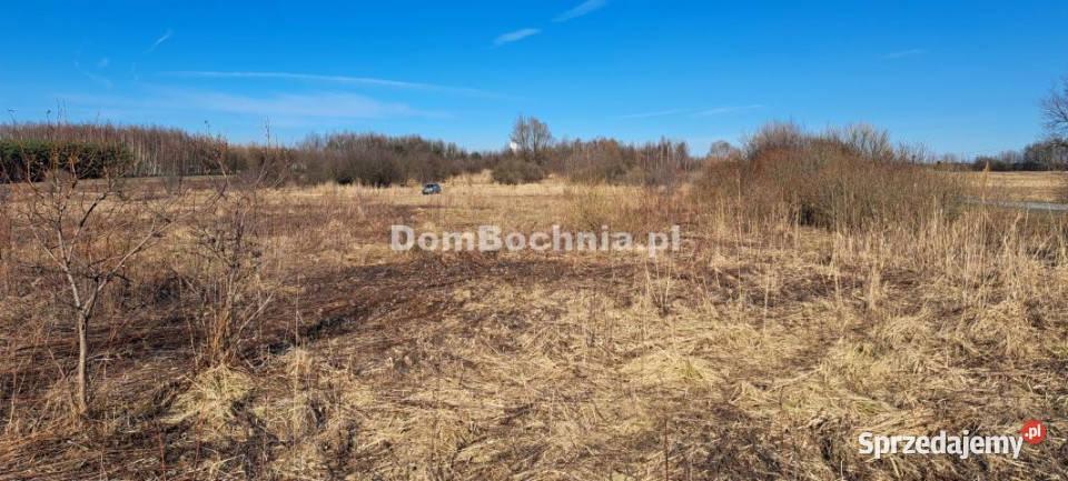 Działka Borek 4572m2 inwestycyjna sprzedam