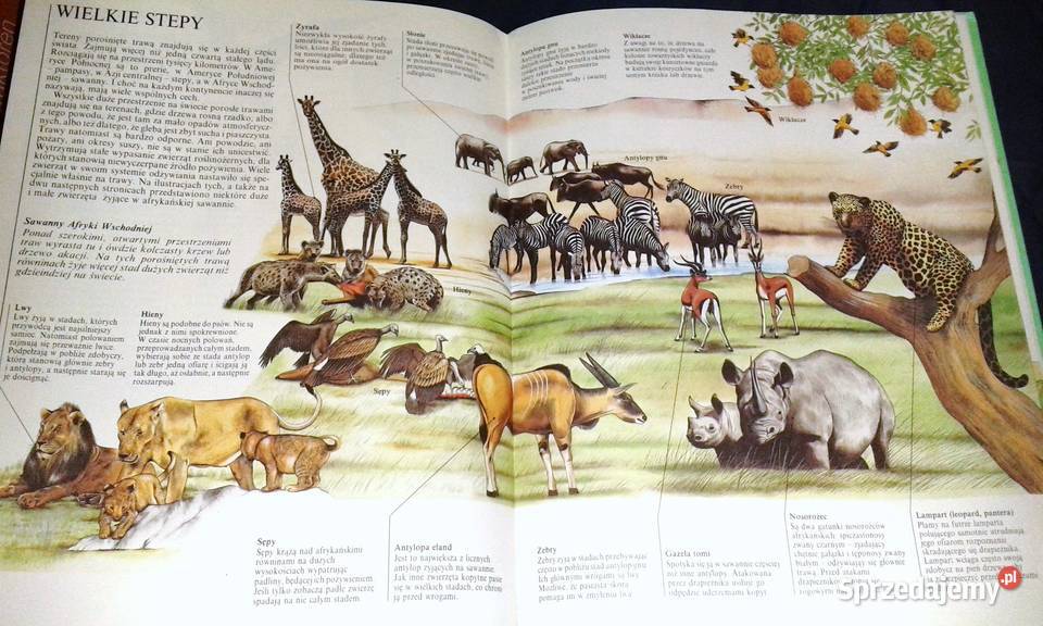 W świecie zwierząt John Feltwell lubelskie Chełm