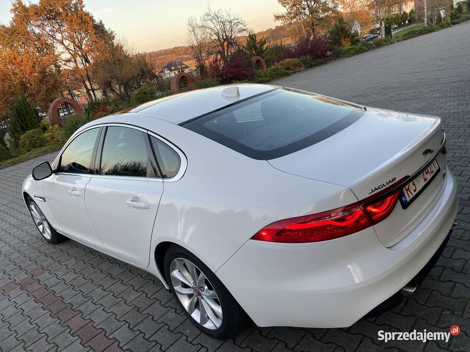 Jaguar XF 20 Benzyna 247hp 25t Premium AWD 2019 247KM Jaguar podkarpackie Osobnica