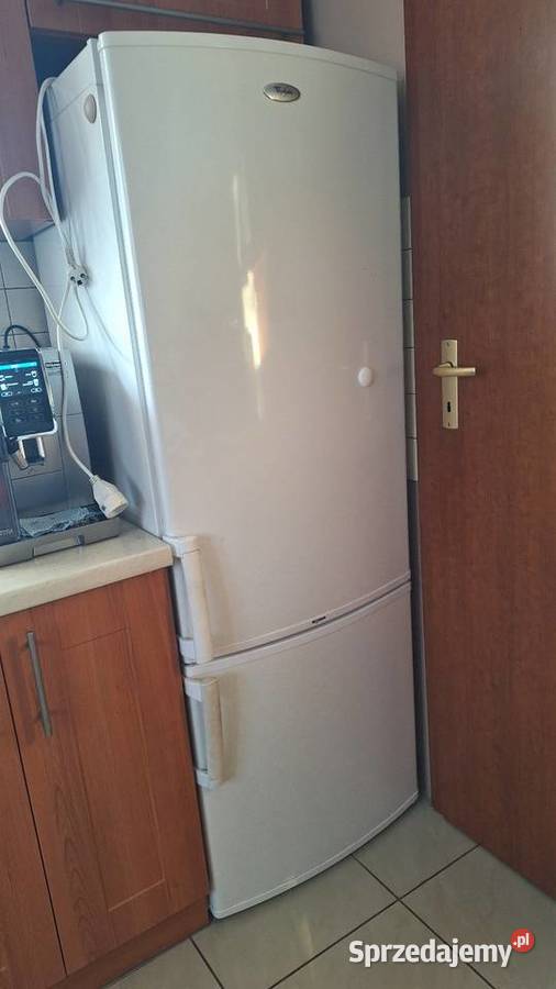 Lodówka Whirlpool wolnostojące