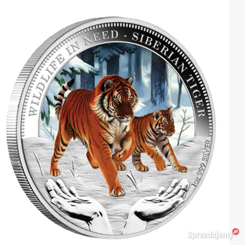 Tygrysy Syberyjski Srebrna moneta kolekcjonerska Warszawa