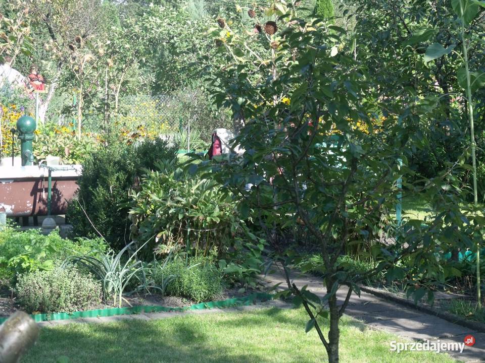 Sprzedam dzialke rekreacyjna ROD Zacisze Nieruchomości Grudziądz