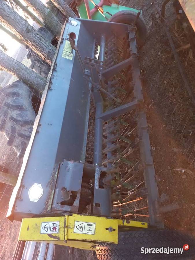 Siewnik poznaniak Świątki