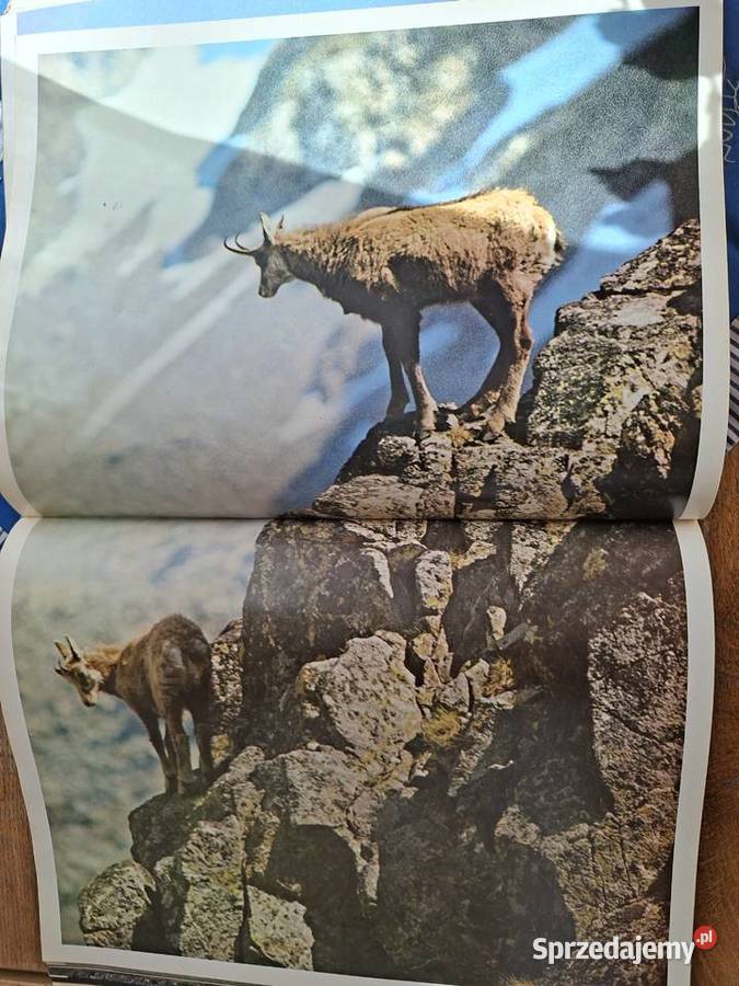 Tatry Milic Blahout Pavol Repka j pol j słowacki Kraków