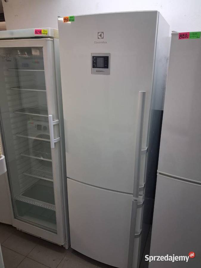 LODÓWKA ELECTROLUX Wrocław sprzedam