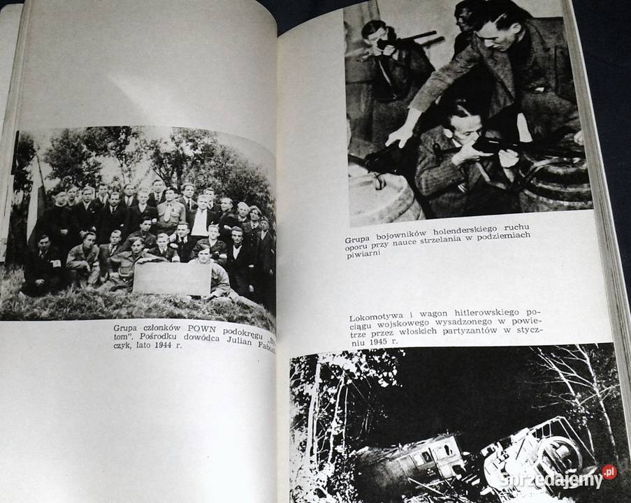 Polacy w europejskim ruchu oporu 19391945 M Chełm
