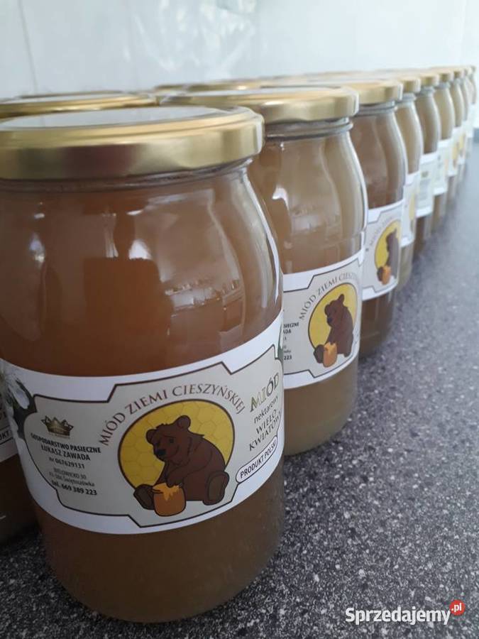 Miód pszczeli wielokwiatowy polski z własnej Pruchna