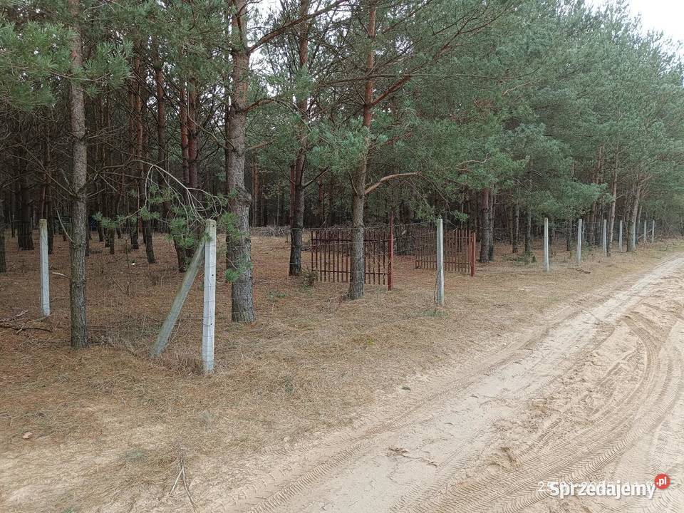 Działka 1500 m2 Mierzwice Mierzwice-Kolonia