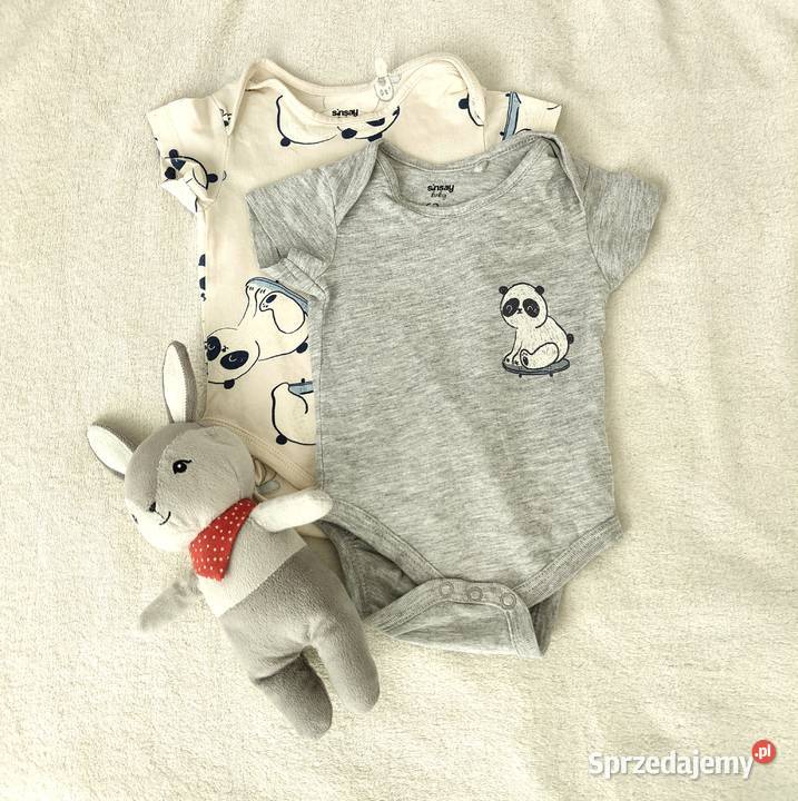 Body niemowlęce 62 Sinsay bawełna pandy panda Rozmiar 62 Odzież Szczecin