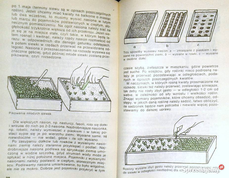 Balkon w kwiatach Anita PaszkiewiczTokarczyk Chełm