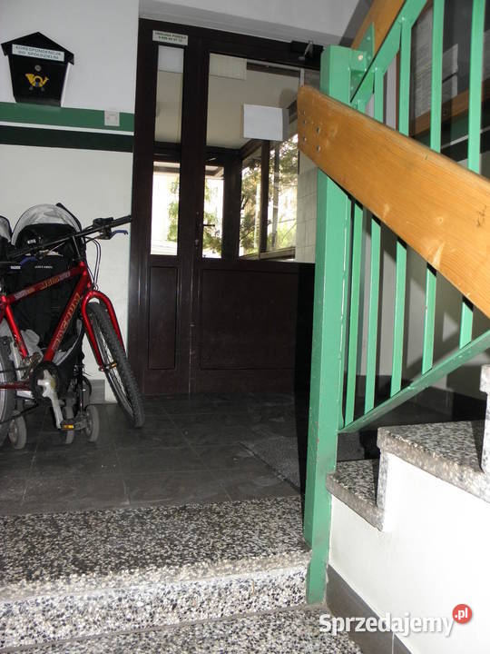 Do wynajęcia komórka lokatorska piwnica Warszawa