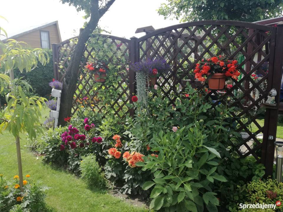 Działka ROD w Stefanowo