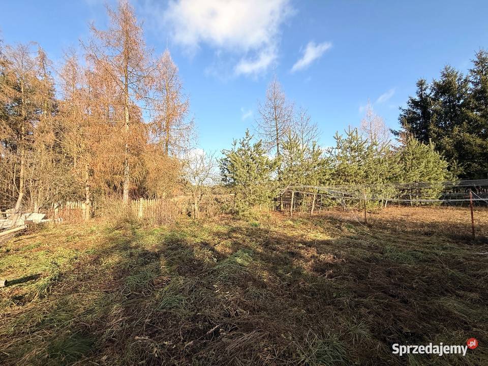 Dom z dużą działką i lasem w Nowinach Brdowskich parterowy Nowiny Brdowskie