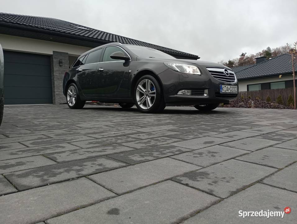 Opel Insignia BiTurbo Dąbrowa Tarnowska