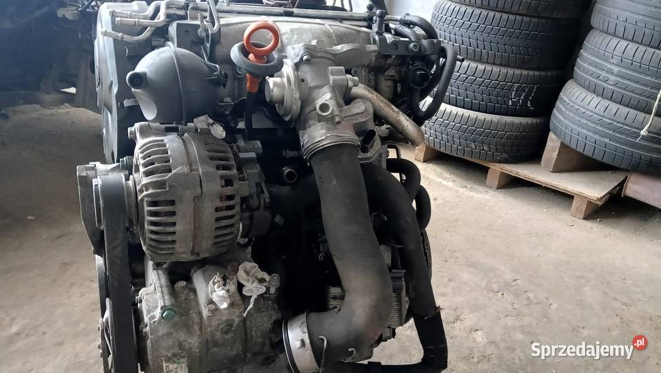 Silnik 20TDI 103kW BKD 223189 kompletny opolskie Nysa