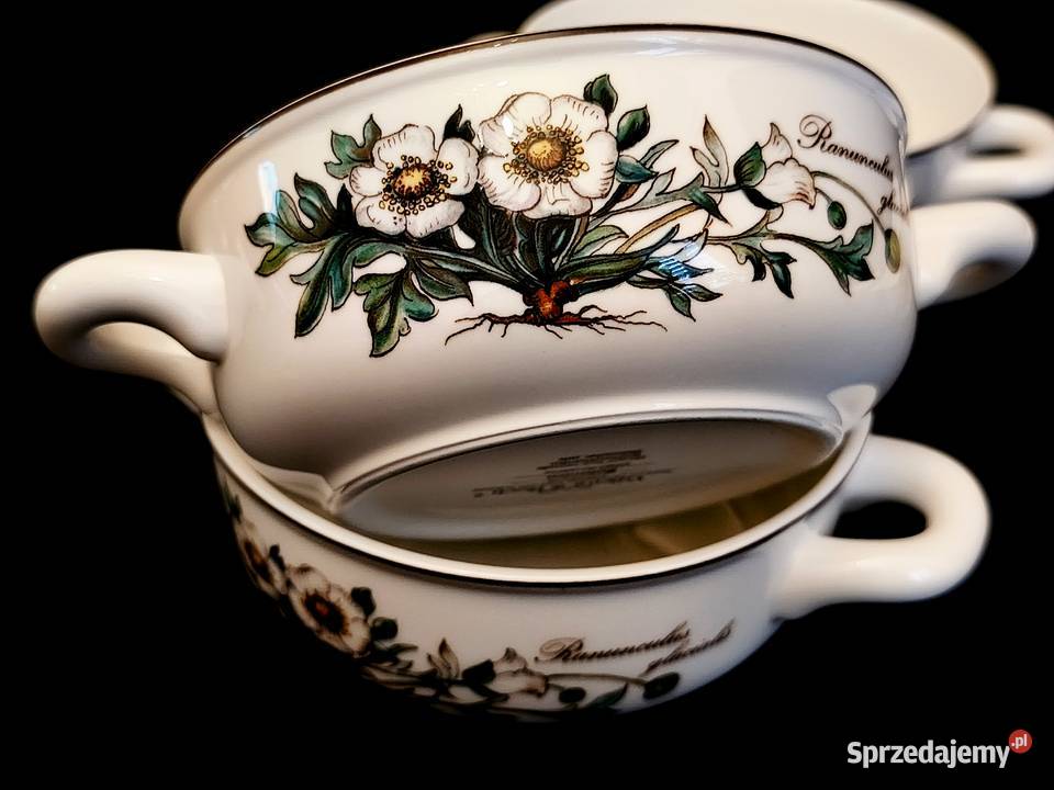 Bulionówka Villeroy Boch Botanica Chełm