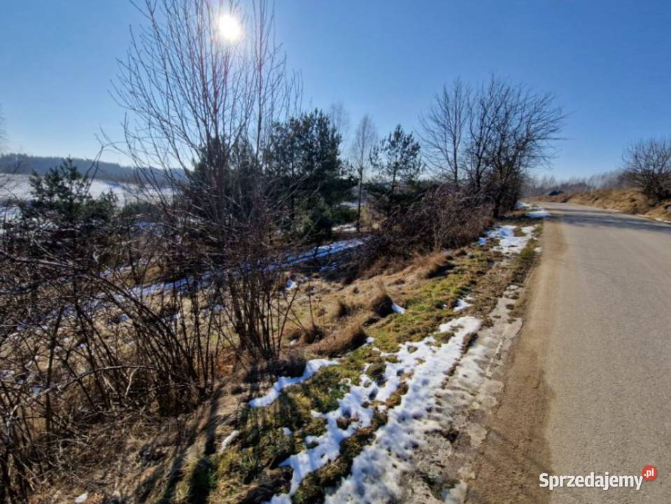 Syndyk sprzeda nieruchomość niezabudowaną