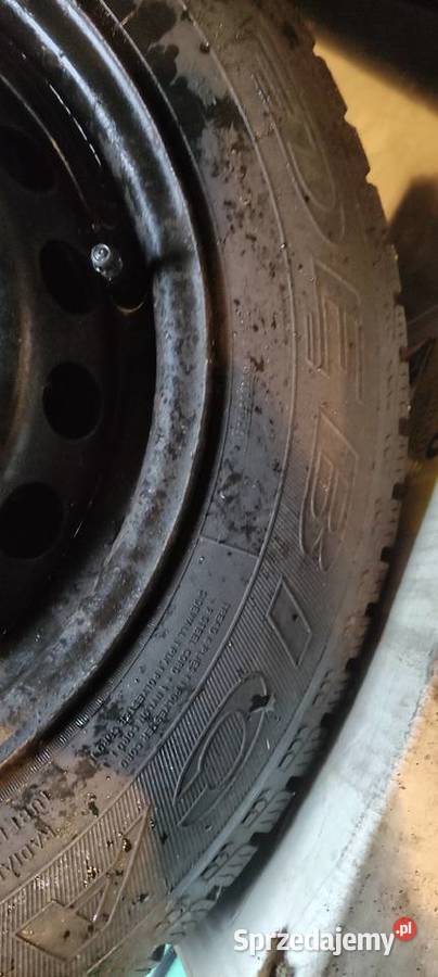 clio megane koła zimowe Samochodowe