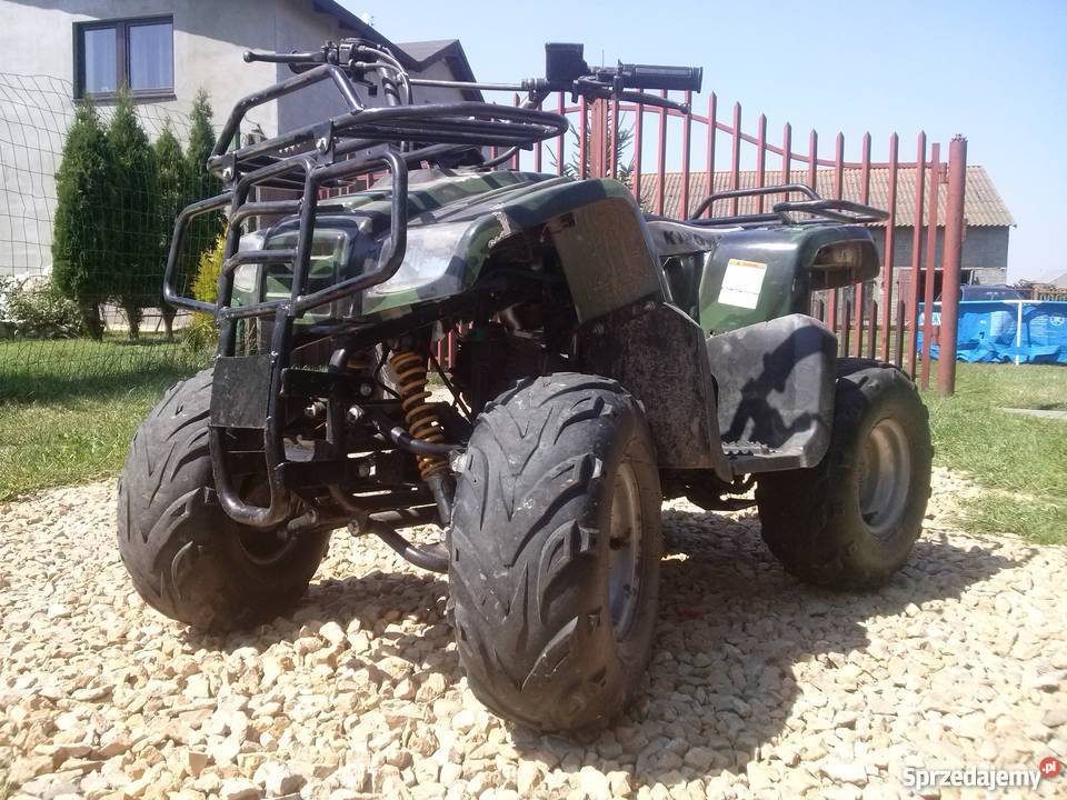 Kingway Mini Traper 110 ccm Zamiana Rząśnia