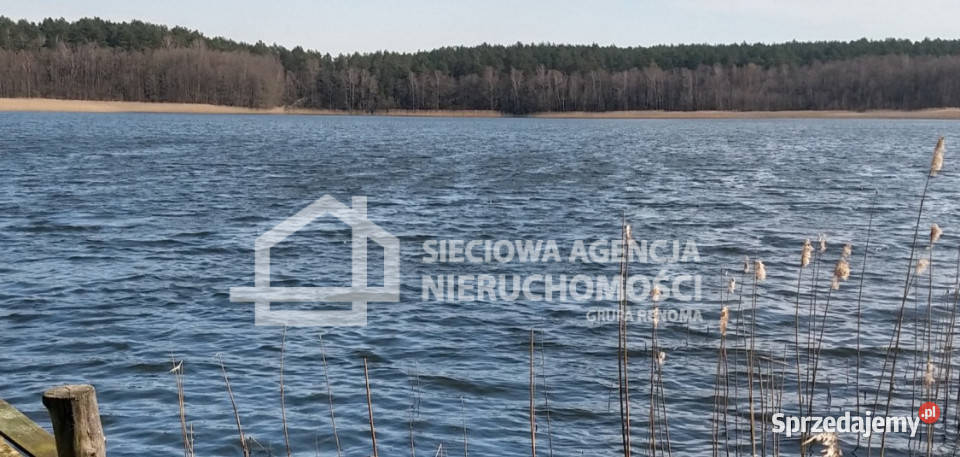 Grunt 7053m2 Nierostowo sprzedam