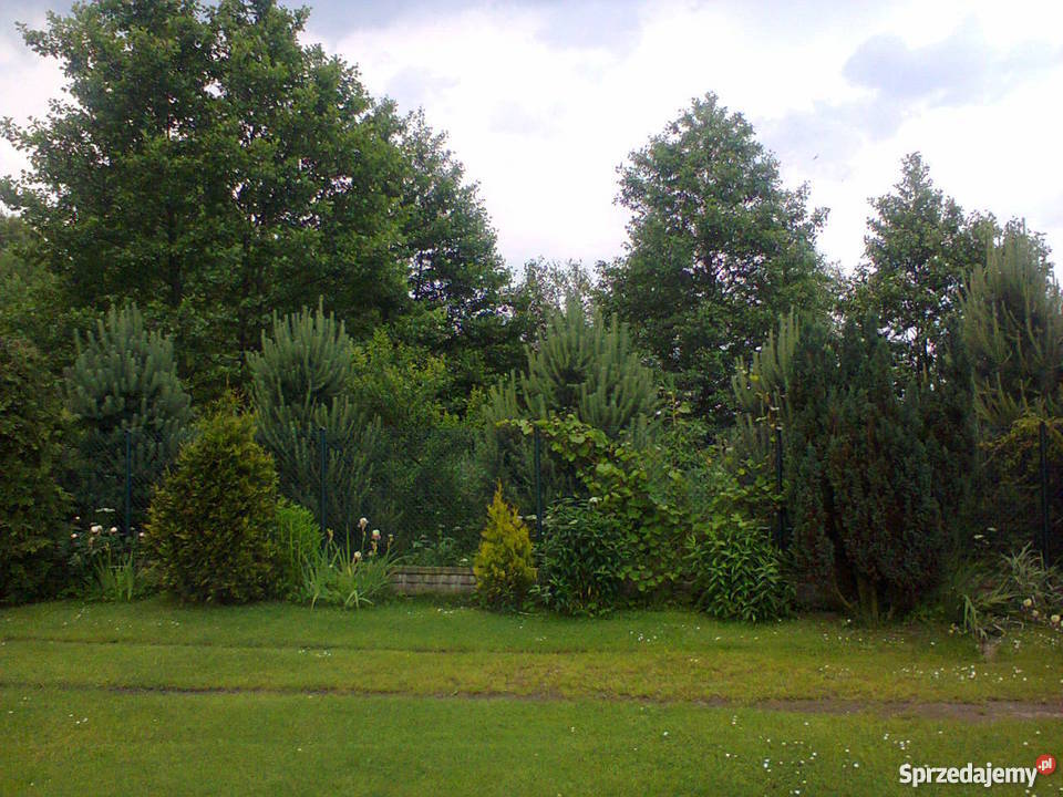 Dom działki Kośmidry kLublińca piwnica Nieruchomości sprzedam