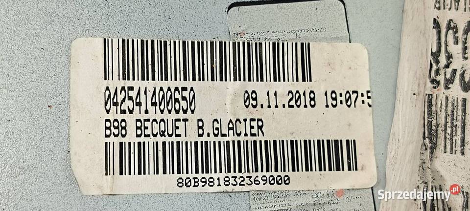 SPOILER LOTKA RENAULT CLIO IV 960307284R Części samochodowe