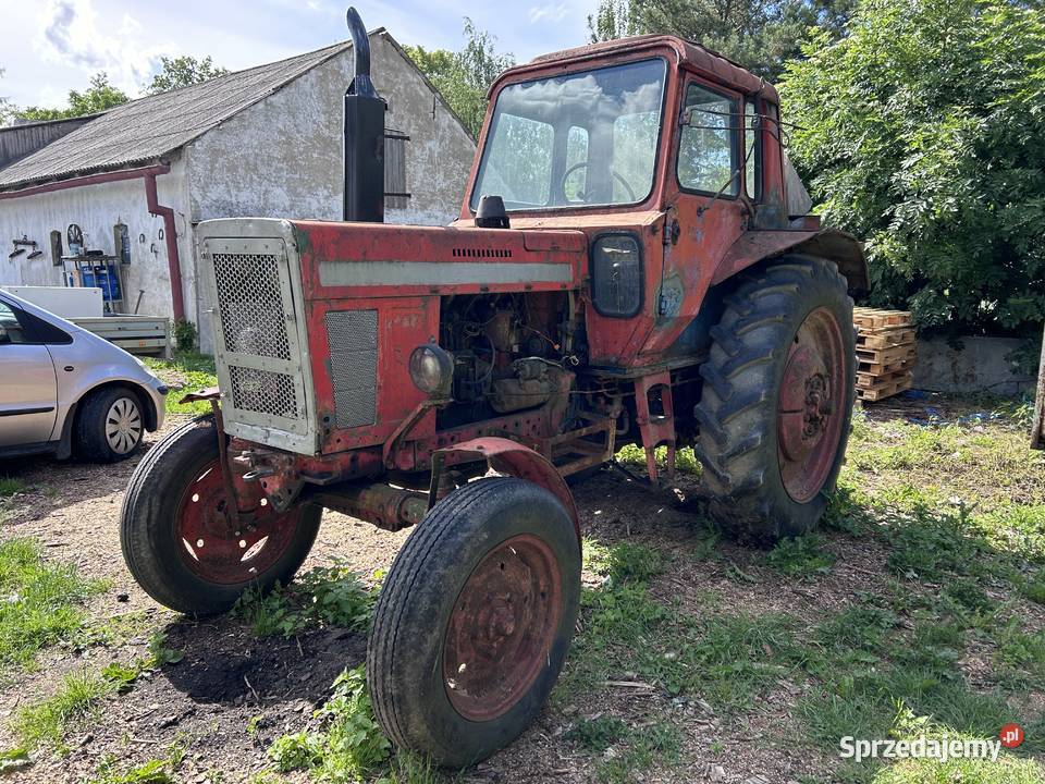 MTZ 50 Kowalewo Pomorskie