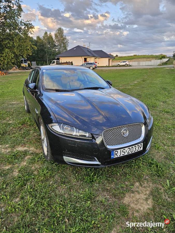 Jaguar XF 22D reflektory ksenonowe Trzcinica