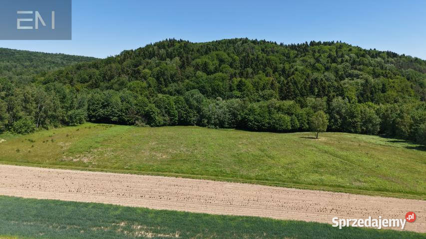 Działka 8800m2 Huta Gogołowska