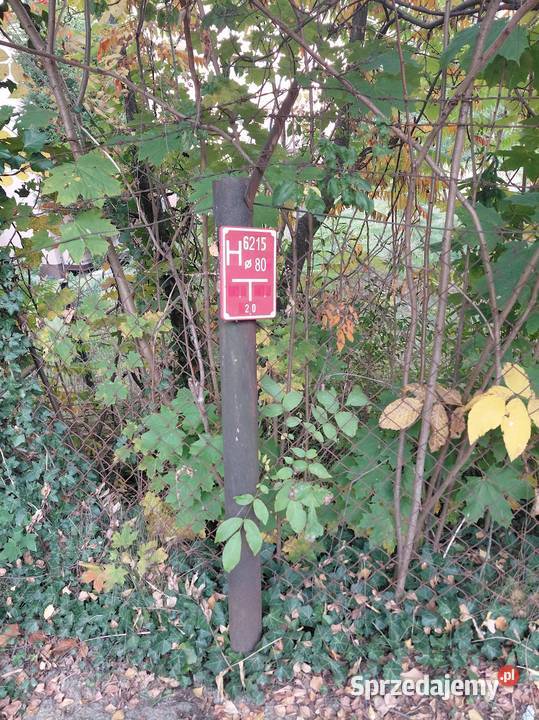 Kraków Wola Duchacka Klonowica sprzedam