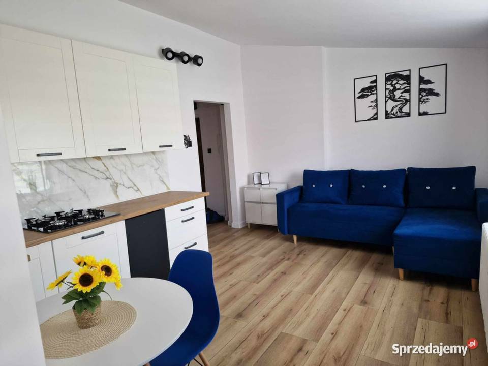 Do wynajęcia mieszkanie w centrum Kutna blok