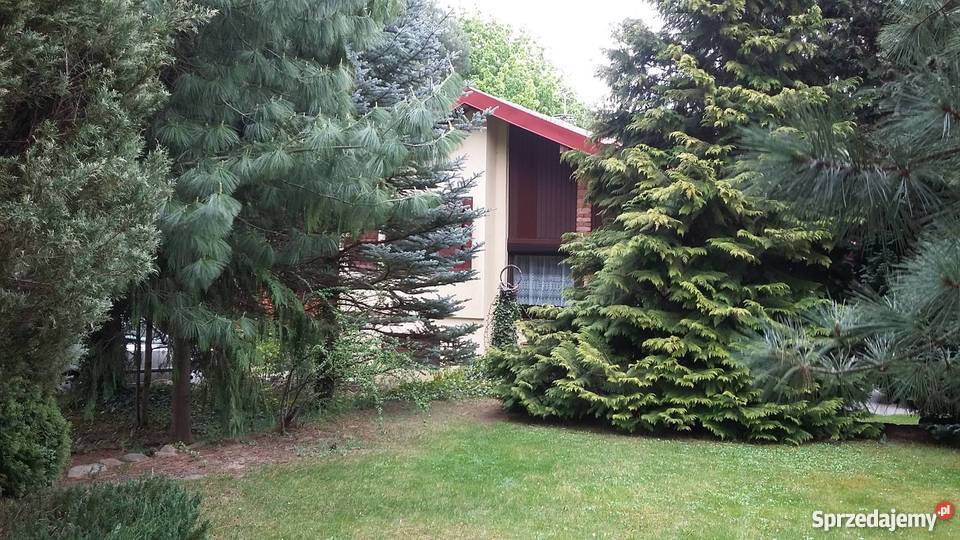Działka rekreacyjna jeziorem 20 Bydgoszczy Wierzchucinek