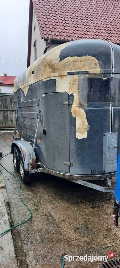 Przyczepa do przewozu koni Do przewozu koni dolnośląskie Czerwona Woda