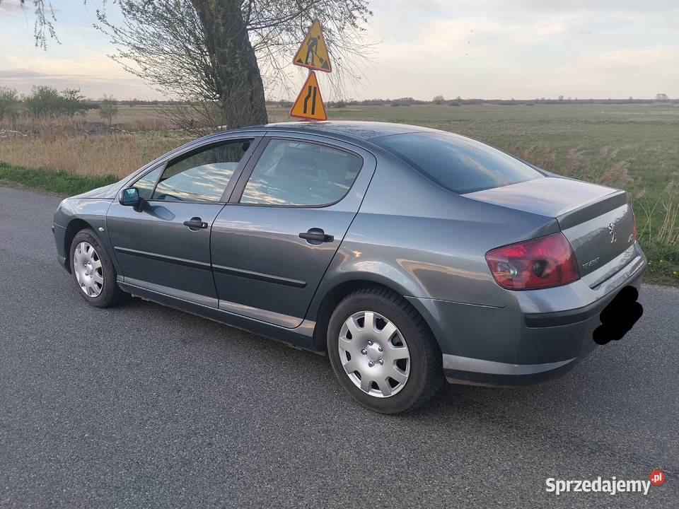 Peugeot 407 18 gaz nieuszkodzony Łęczyca