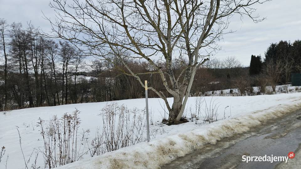 Działka w Jakubowicach Konińskich lubelskie Jakubowice Konińskie