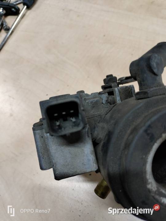Polonez Rover przepustnica osobowe Łubno
