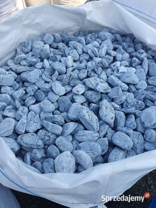 OTOCZAK BŁĘKITNY OTOCZAK DO PLATINUM OZDOBNY Bielawa